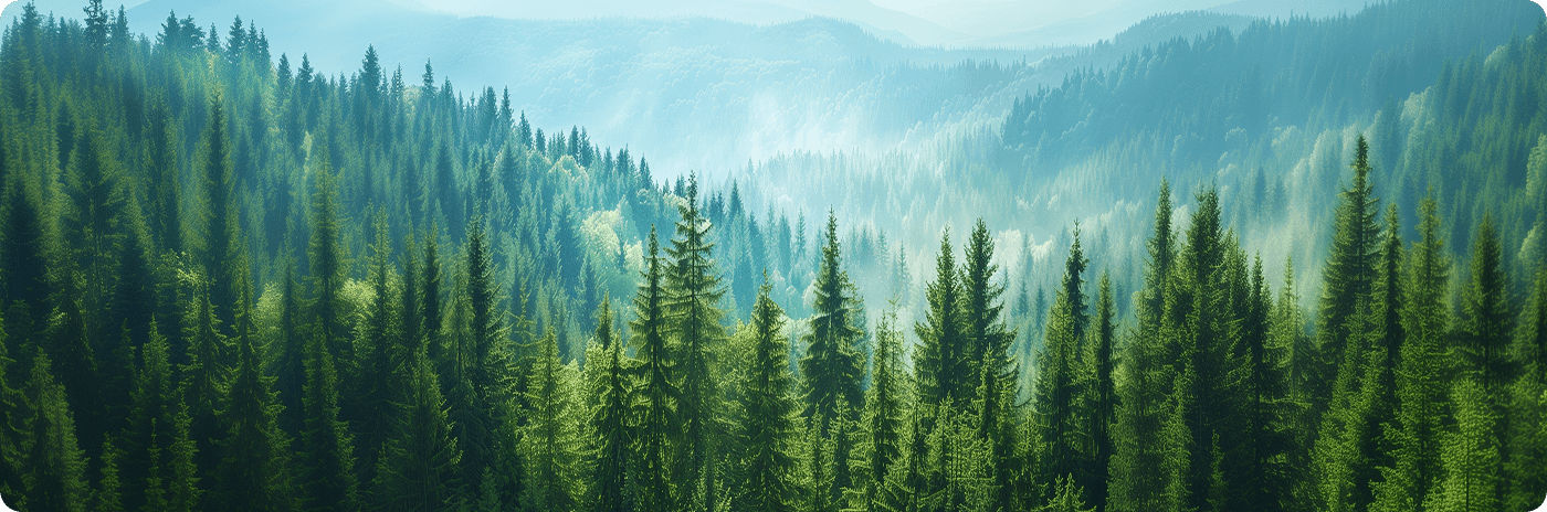 Engagierte New-Energy ESG-Praxis: